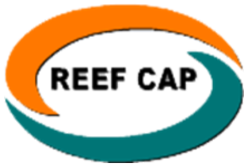 Reef Cap